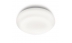 Mist lampa pentru tavan white 1x20W 230V