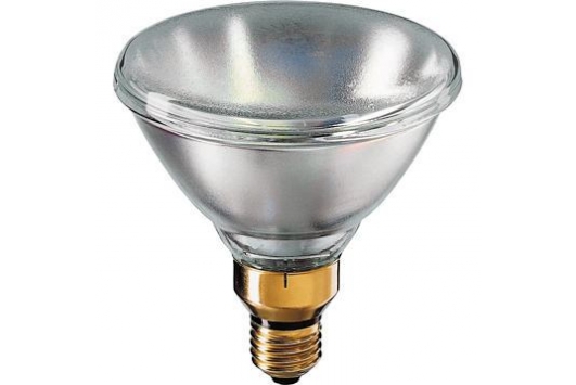 Lampa Reflector PAR38 120W E27 230V SP 12D 1CT/12  