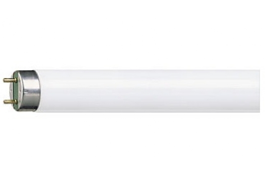 Tub Fluorescent MASTER TL-D Super 80 36W/840 1SL/25 